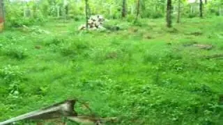 Eco Habitat.coorg homestay.mov