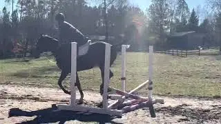 Shiftn&rsquo; Gears &ldquo;Gary&rdquo;- first time jumping