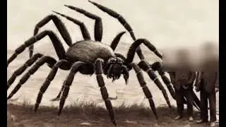 Scp-022, серия 23