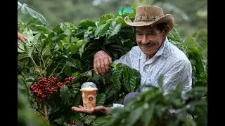 Discover Colombia's Botanical Wonders Why It's a Plant Paradise! - Discovering the Planet in FULL HD