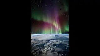 We must save this Beautiful World