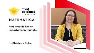 Matematică; cl. VII-a, 