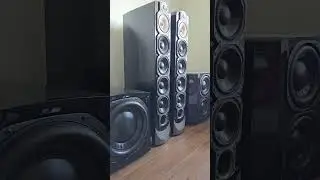 Paradigm Signature Sub2 5