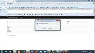 Web For Pentester SQL Injection Example 4 Solution