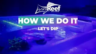 How to Dip Coral | How We Do It