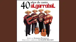 Arriba en la Cordillera