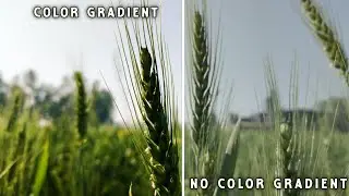 Cinematic video | color gradient |