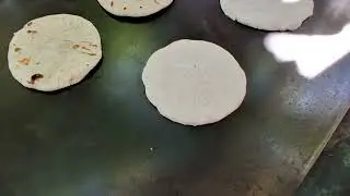 Competencia ala mejor tortilla califique usted