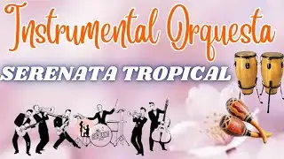 ORQUESTA SERENATA TROPICAL, SELECCION DE LAS MEJORES ORQUESTAS, Música Hermosa y Relajante,