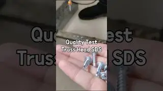 Quality Test Truss Head SDS #tekscrew #roofingscrew #din7504