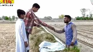 Used Mobiles Saraiki Funny | Top Trending Shorts Video | 114 Walay
