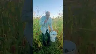 Cosechando lo que siembras !