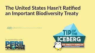 The United States Hasn't Ratified an Important Biodiversity Treaty