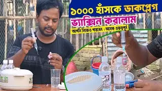 হাঁসের ডাকপ্লেগ ভ্যাক্সিন যেভাবে দিলাম । পুরো হাতে কলমে  প্রশিক্ষণ । SPM Agro