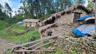Western Himalayan shepherd Lifestyle During the Havey Rainy day Hardworking Organic food Cook Eating