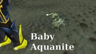 Baby Aquanite Pet and Potion Share Info