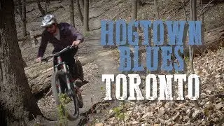 Out on the Ridge - Blue Rated Mountain Bike Trail in Toronto