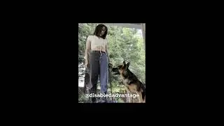 Imagine a Dog Calm Near Food...