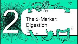 AQA GCSE Biology 2024 Past Paper Higher Tier Paper 1 Q2
