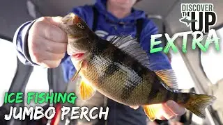 Catching Big Perch in the Wilcraft on Little Bay de Noc