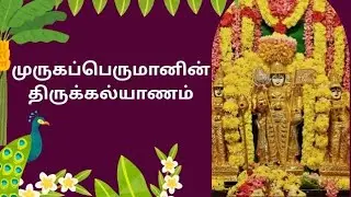 திருக்கல்யாண உற்சவம் - அம்பத்தூர் 2025
