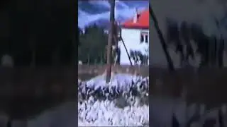 Goranci 80-tih godina