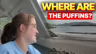 This Puffin Day Trip from Arisaig Is Unreal...