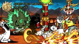Battle Cats: Ancient Forest Labyrinth (Face of God)
