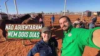 A AUSTRÁLIA que ninguém mostra!