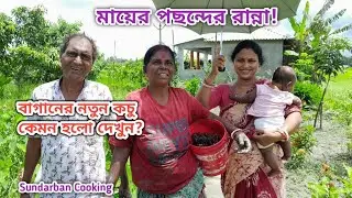 বাগান থেকে নতুন গাঁটি কচু তুলে নদী থেকে ধরা মাছ দিয়ে রান্না সঙ্গে ঝিঙে চিংড়ি! Sundarban Cooking 
