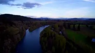 Uncut flight , Mark Cooper Images 32516