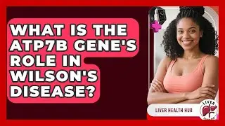 What Is The ATP7B Gene's Role In Wilson's Disease? - Liver Health Hub