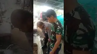 Cara Memilih Pakan Ternak Tinggi Protein yang Berkualitas