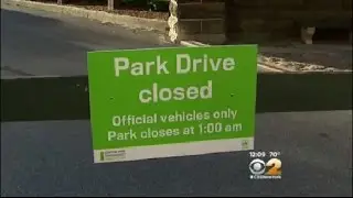 Central Park Car Ban In Effect