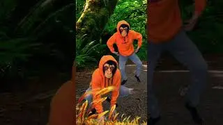 Funny monkey dance #shorts