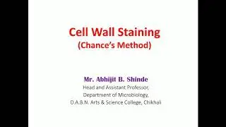 Cell wall staining