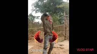 Rap Hu Rap