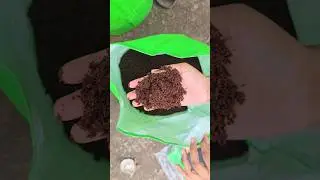 Why I Switched to HDPE Bags: Stronger, Cheaper, Greener! #HDPE #EcoFriendly #garden #PlasticBags