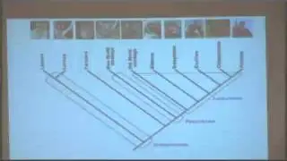 Lecture 5 Aishwarya Sharma - Using Bioinformatics to Study Primates and Evolution