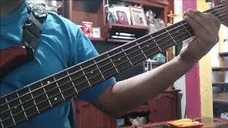 popurri luis miguel 80 90 bass cover