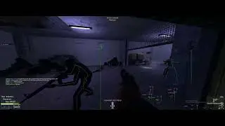 Very Funny moment C8 Alliance №3. Wraith.su