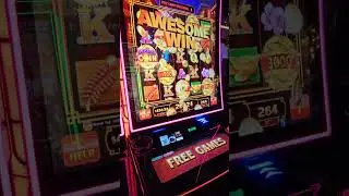 MASSIVE BONUS on Dragon Coin #theslotmaster316 #livecasino #dragoncoin