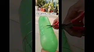घर पर प्लास्टिक बोतल से सुंदर DIY प्लांट बॉटल बनाना | Easy Garden Recycling