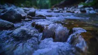 Relax Your Mind: River Sounds ASMR Live