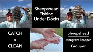 Fishing Under Docks for Sheepshead in St. Augustine, FL (CATCH & CLEAN)