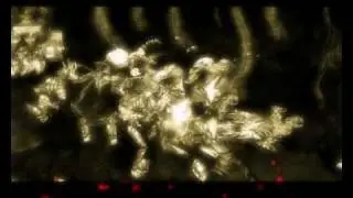 DotA MV - New Divide