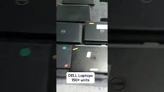 🤔 WTB budget-friendly Dell laptops in bulk?
