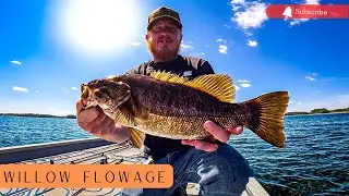 Smallmouth Bass, Walleye, Big Crappie Why Fishing Flowages in Northern Wisconsin IS FUN!