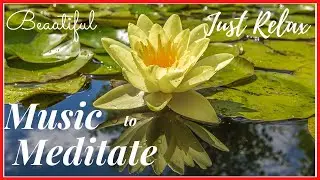 Relaxing Music To Meditate,Musica Para Meditar