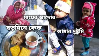 আমি এক অদভূত বাড়িতে থাকি,,এক জনকে কিছু বললে অন্য জনের ঝাল লেগে যায়,, বড়দিনে কেমন কাটালাম